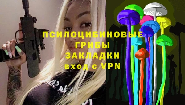 шишки Нефтекумск