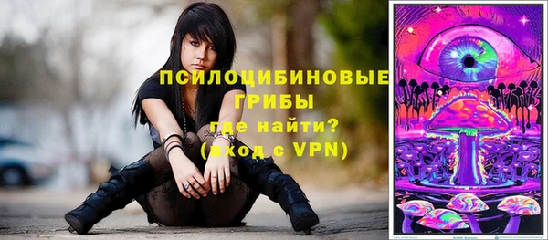 шишки Нефтекумск