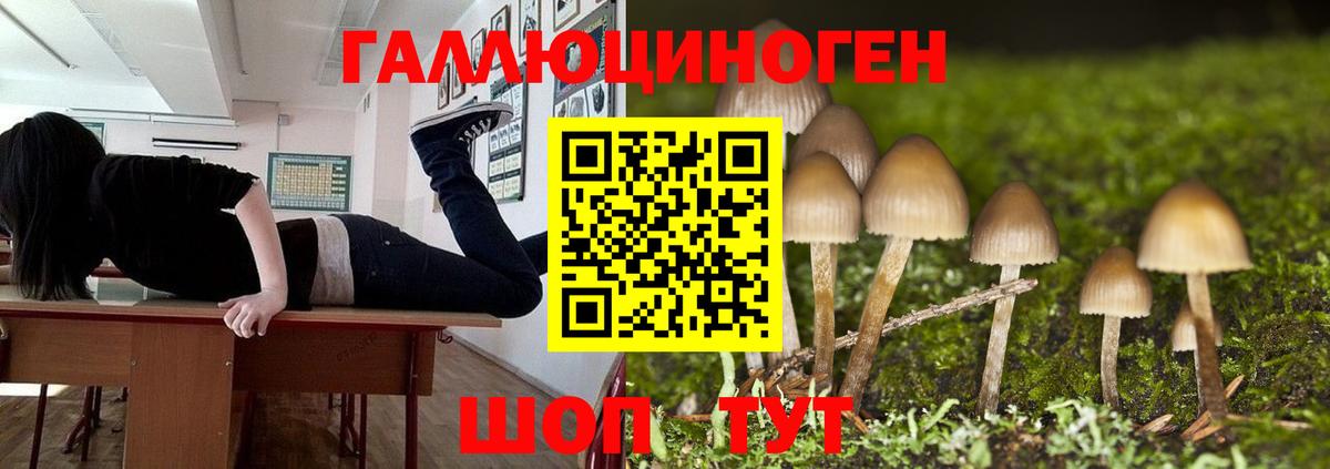 Ноябрьск  Псилоцибиновые грибы Psilocybine cubensis  Вход с VPN  Галлюциногенные грибы ЛСД 